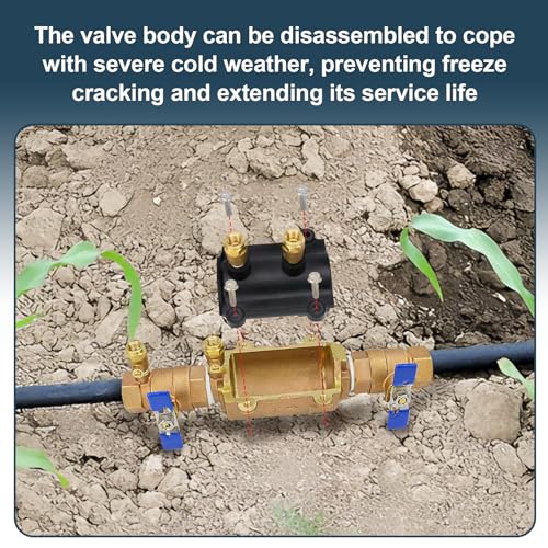 Image of 1-350 Double Check Backflow Preventer,Double Check Valve Assembly