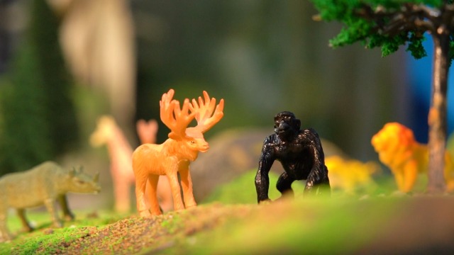 Amazon.com: Yeonha Toys 60 Piece Mini Zoo Animal Toy with Gift Box