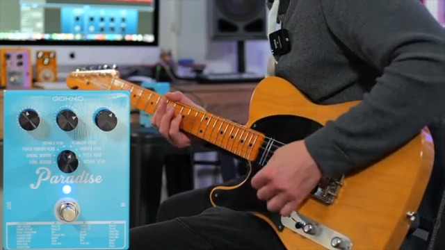Amazon.com: GOKKO Paradise Multi-Reverb Pedal - 8 Reverb Effects