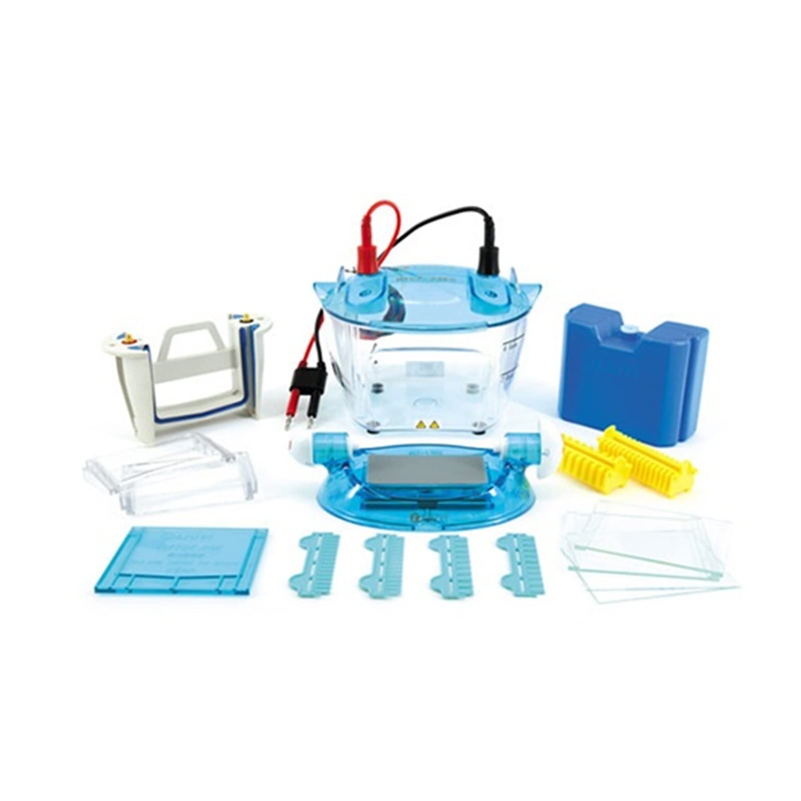 Apparecchiatura per elettroforesi, DYCZ-25D Doppio Strumento for elettroforesi Verticale Iniezione DYCZ-25D Strumento for elettroforesi su Gel proteico per aule e Piccoli Laboratori