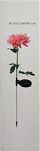 Miniatura 7 de Paquete de 4 luces solares para exteriores, luces solares de jardín con flores de crisantemo más grandes, luces impermeables para exteriores, panel