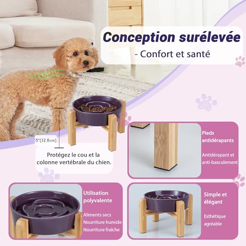 Gamelle anti-glouton design pour le repas des chiens en intérieur