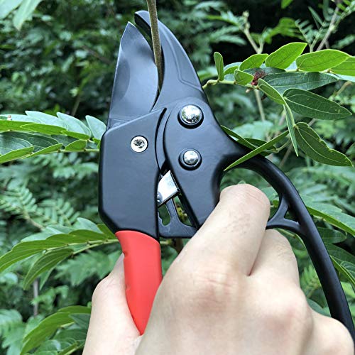 Image of gonicc 8 inch Professional Ratchet Anvil Pruning Shears (GPPS-1011) | Ratcheting Mechanism, Anvil groove design, Reinforced Design Handle, Garden Shears Clippers, Hand Tools Scissors