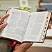 RSV Personal Size Bible with Cross References, Brown Leathersoft, Thumb Indexed, (Sovereign Collection)