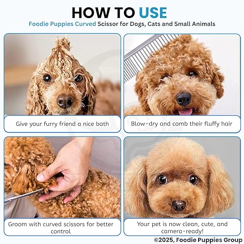Image of Foodie Puppies Curved Grooming Scissors for Dogs & Cats I Stainless Steel Pet Hair Trimmer with Safe Round Tips for Face, Ear & Paw Grooming Tool for Home & Professional Use