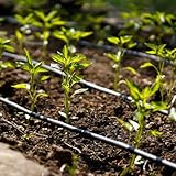 Zoom IMG-1 acquaverde ala gocciolante 16 mm Zoom IMG-1 acquaverde ala gocciolante 16 mm