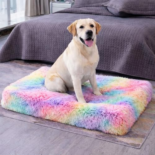 Image of ZEXSAZONE High-Density Rebond Foam Large Dog Bed | 90 x 60 CM Soft Rectangular Pet Bed | Washable, Thick Cushion with Anti-Slip Bottom | Indoor Use | (Rainbow, Large, Dog Mattress)