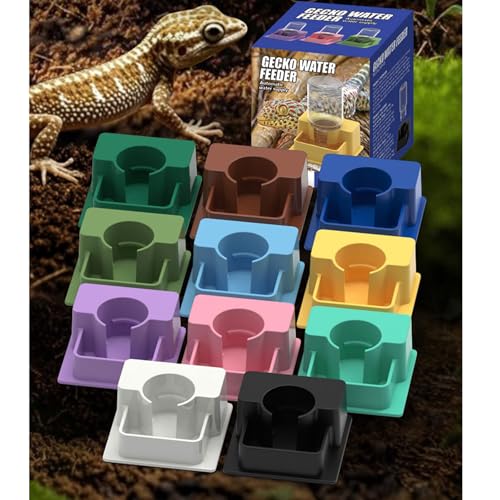 Platzsparender multifunktionaler Wasserspender mit sichtbarer Wasserflasche für Schildkröten, Eidechsen, Landschildkröten, Amphibien Greezz Automatischer Futternapf-9