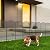 OUSHENG Mesh Decorative Garden Fence Fencing 10 Pack, 38.5in (H) x 10ft (L) Rustproof Metal Wire Panel Border Animal Barrier for Dog, Flower Edging for Yard Landscape Patio Outdoor Decor, Arched