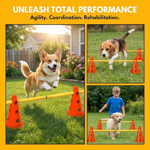 XEIYEI 5er Sports Steckhürdenset Cavaletti Agility Set Hunde Hürden Steckhürdenset 10 Kegel 23cm + 5 Stangen 80cm Agility Koordinationstraining Set für Kinder Hunde Teamsport Fussball (Orange)