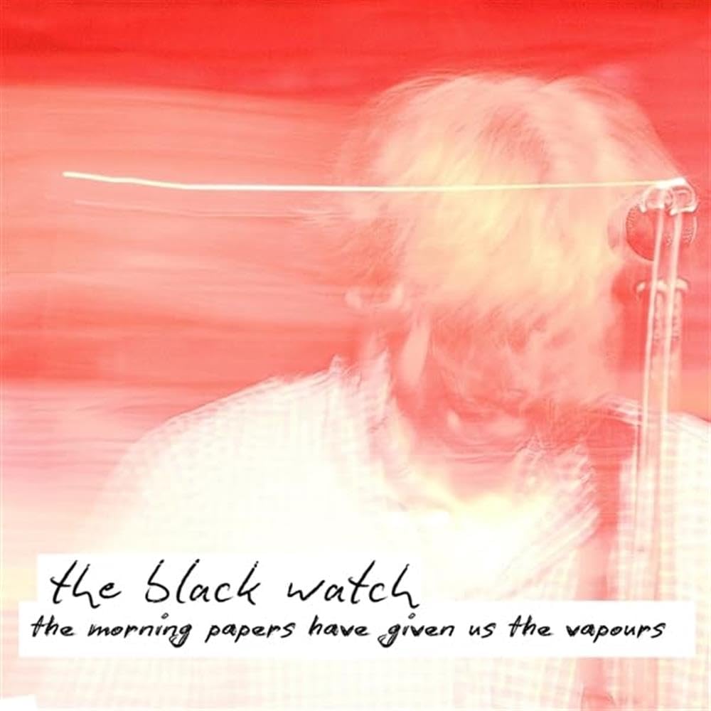The Morning Papers Have Given Us The Vapours [VINYL]