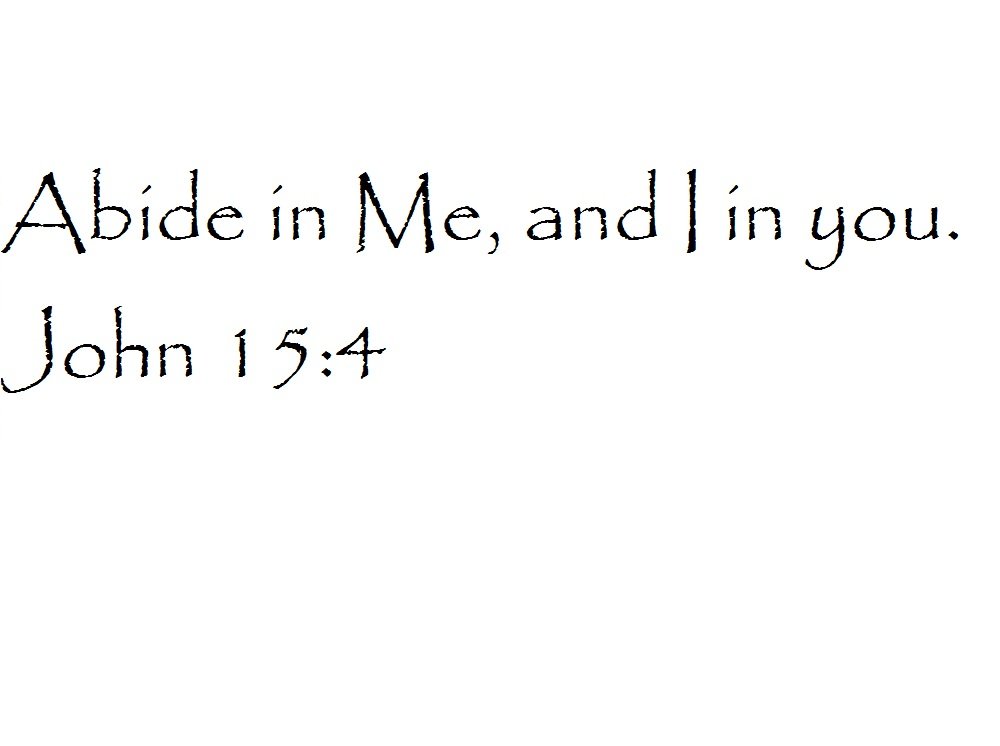 Tapestry Of Truth - John 15:4 - TOT2650 - Wall and Home Scripture, Lettering, Quotes, Images, Stickers, Decals, Art, and More! - Abide in Me, and I in You. John 15:4