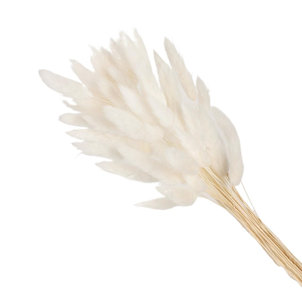 Sztuczna trawa Pampas, Wielokolorowe pampasowe ogony króliczka suszone kwiaty 60 lub 80 szt. Ślub Boże Narodzenie dekoracje dla domu DIY(Meat Pink,60pcs)