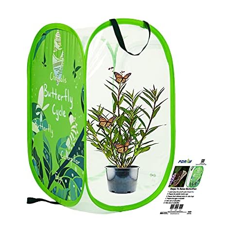 Large Pop-up Monarch Butterfly Habitat,26" Tall Insect Garden ,Collapsible Mesh Cage with Transparent PVC Wall for Observation 16 x 16 x 24 Inches Cover