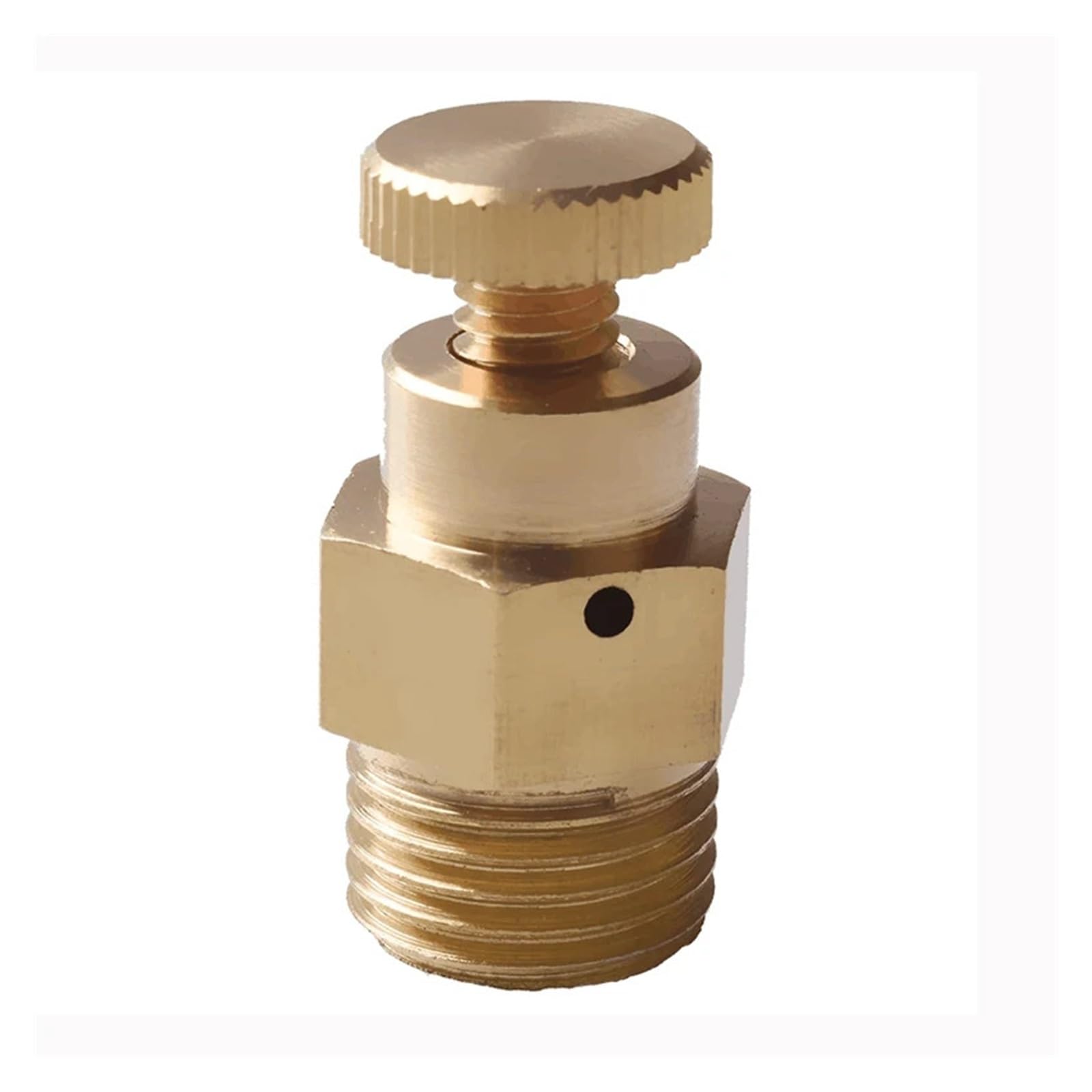 AARTERZZA 1/4" BSP Male Thread Brass Release Valve Pressure Valve