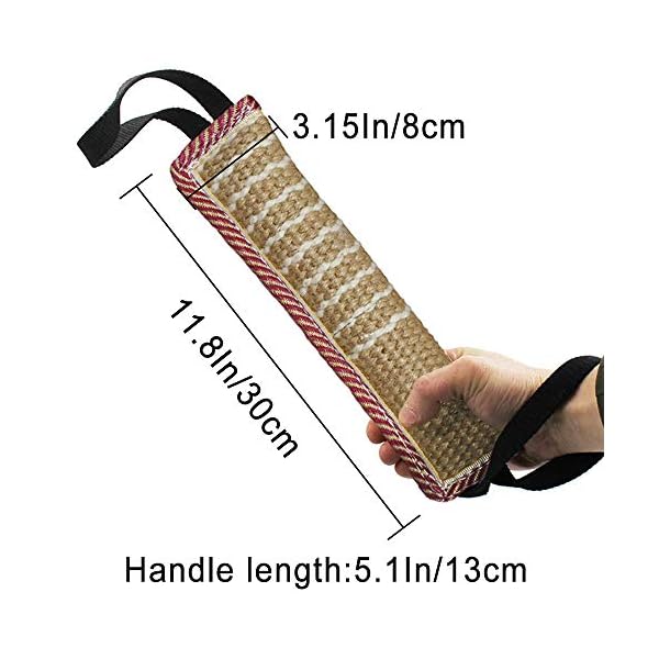 Puppy Training Fun Pillow