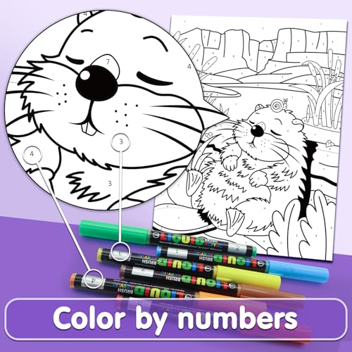 Image of SNEILJOY Paint by Numbers Kit for Kids Ages 4-12, 3 Pack Canvas Set