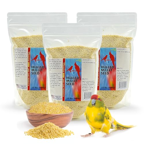 Morning Bird Hulled Millet 4.5 lbs (3-Pack, 1.5 lbs Each) – Nutritious Hulled Millet Seed - Easily Digestible with High Fiber, Rich in Vitamins & Minerals for Birds, Ideal Bird Feed for All Bird Types