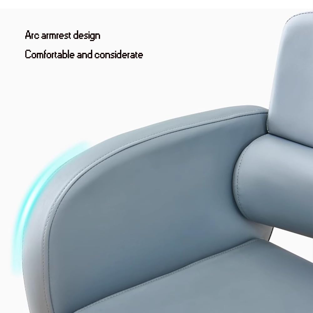 Sillas de barbero, Silla de barbero hidráulica Profesional, Silla de peluquería, Silla de Corte de Pelo giratoria reclinable Ajustable para peluqueros, Gris - Ideal para barberías y Salones