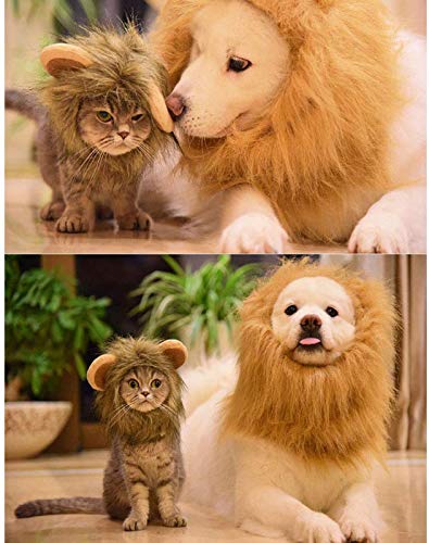 Pet Halloween Costume, Lion Mane Hat For Kittens Puppy Dogs Adjustable Washable Comfortable Fancy Lion Hair Halloween Christmas Easter Party Activity #TOP4