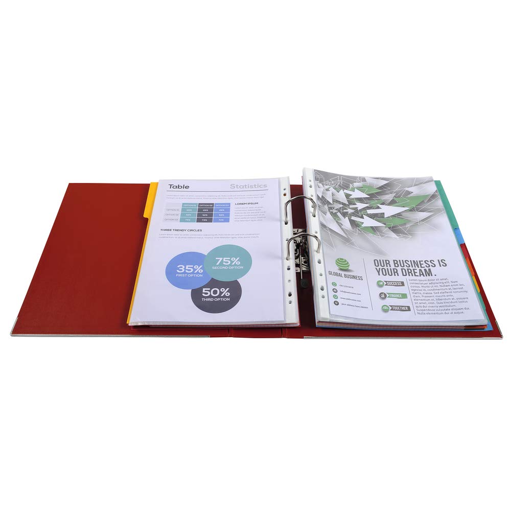 Exacompta 53374E Raccoglitore a Leva, 30x32 cm, Multicolore