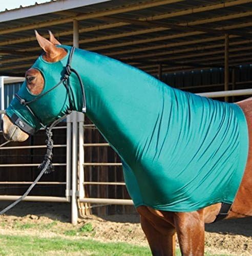 for Horses Sleazy Hood Burgundy L