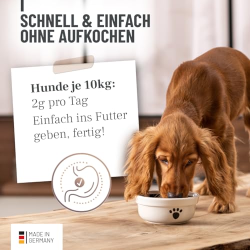 ReaVET Magenpulver für Hunde 300g mit Ulmenrinde ohne Aufkochen I sekundierend bei Durchfall, Blähungen, Grasfressen I Verdauungsunterstützung – Futtertopping Magen & Darm Pulver Slippery Elm Bark