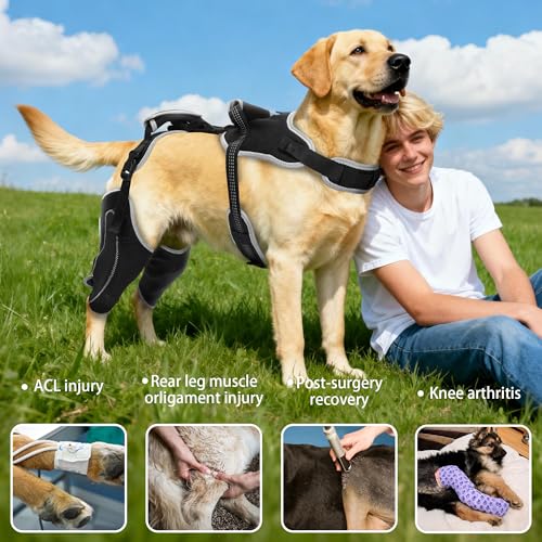 Image of Dog Knee Brace for Torn ACL Hind Leg & Luxating Patella, Multi-Functional Adjustable Rear Leg Braces for Dogs, Pain Relief, Post-Surgery Recovery, L