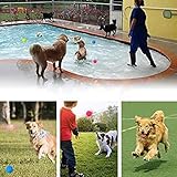 ZHXMALL 3 Stück Hundespielzeug Bälle,Quietsche Bälle,Hund Kauspielzeug,Hundeball Schwimmfähig(Blau, Rosa, Grün) (Ball, Ball)