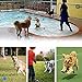 ZHXMALL 3 Stück Hundespielzeug Bälle,Quietsche Bälle,Hund Kauspielzeug,Hundeball Schwimmfähig(Blau, Rosa, Grün) (Ball, Ball)