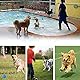 ZHXMALL 3 Stück Hundespielzeug Ball,Quietsche Ball,Hund Kauspielzeug Bälle,Bälle Gummi,Hundeball Schwimmfähig(Blau, Rosa, Grün)