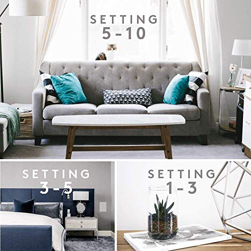 Aera Curiosity Home Fragrance Scent Refill - Notes Of Magnolia, Lotus Flower And Citrus - Works With The Aera Diffuser #TOP3