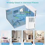 DORTALA 2000 Sq. Ft Dehumidifier, Basement Bathroom Bedroom Portable Small Dehumidifier with Drain Hose, 32 Pints/Day, 3 Modes, 24H Timer, White