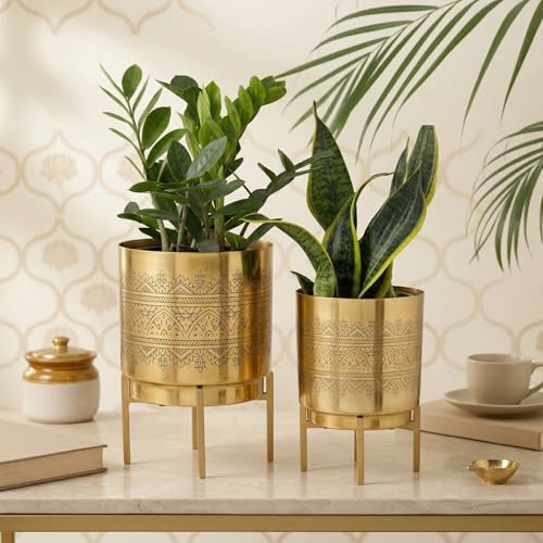 Image of Raaga Gold Metal Planters with Stand | Pack of 2 | Big Planter - 10 Inch (Height) 7 inch (Diameter) | Small Planter - 8 Inch (Height) 6 inch (Diameter) Planters for Living Room