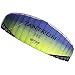 Prism Tantrum 250 Dual-line Parafoil Kite with Control Bar