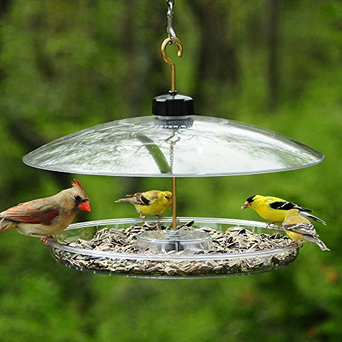 Droll Yankees Bird Feeder, Platform Cardinal Bird Feeders with Roof Cover, 13 Inch Diameter, Clear, CPF-M - Thumbnail 2