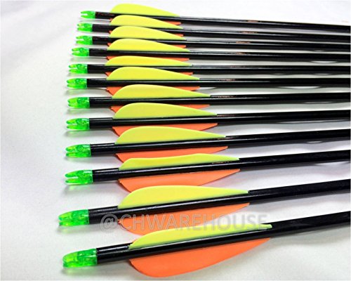 Capitano 26-Inch Archery Fiberglass Target Practice Arrow Replaceable Screw-In Tips With Nocks And Fletches, 66Cm (1/2 Dozen) #TOP1
