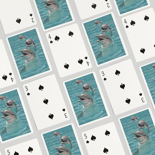 Lantern Press Naipes Póker 52 cartas para adultos miniatura 4