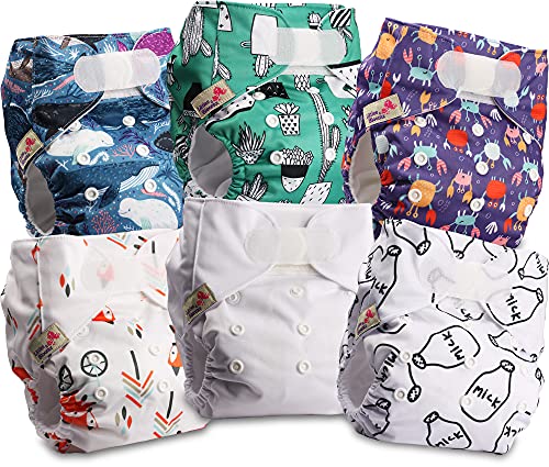 Littles and Bloomz FLV2-0603 - Pañal de tela reutilizable para bebé, 6 pañales