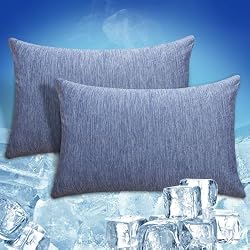 CHOSHOME Cooling Pillow Cases Zipper Pillow Covers Q-Max > 0.45 Zippered Pillowcases for Hot Sleepers, Soft, Breathable, Skin-Friendly, 2 Pack (Queen, 20