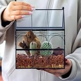 NCYP terrarium en verre noir 19 x 12,5 x 23 cm à toit ventilé photo 6