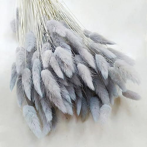 60PCS Rabbit Tail Grass Dried Flowers Dried Natural Floral Arrangement Bunch Decoration Dried Grass,Eternal Flower Dried Grass for Home,Wedding,Party,Flower Bouquet,Photo Props Decor (Grey)