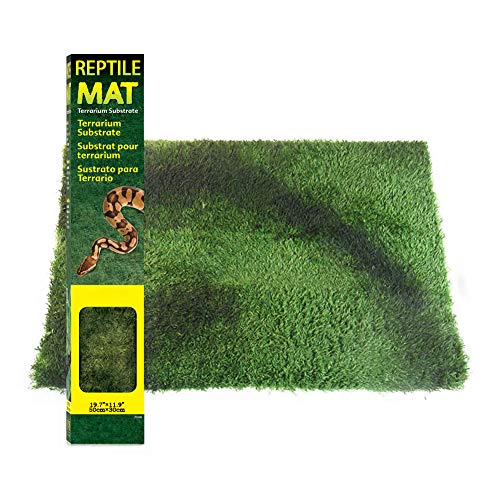 25 Best Bearded Dragon Bedding in 2020 (Buying Guide & FAQs)