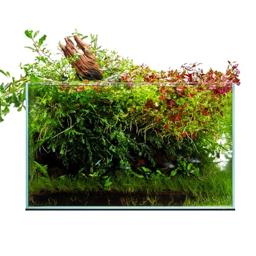 UNS Ultra Clear Rimless Tank - 20.5GAL | 77.7L - 23.62x14.17x14.17 | 60x36x36 CM, 6mm Glass Thickness, Leveling Mat Included - Low Iron, High Clarity Fish Tank w/ 45° Mitered Edge - [60U]