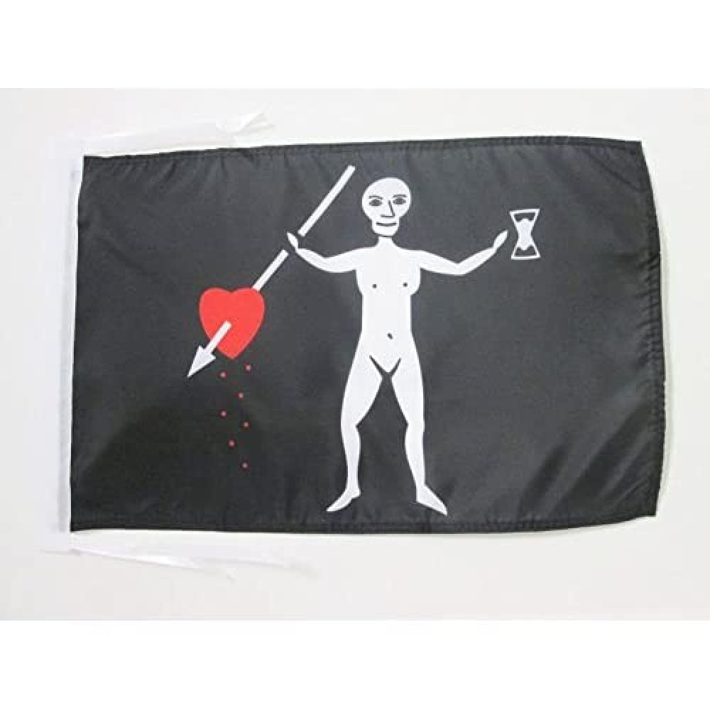 AZ FLAG, Pirate John Quelch Flag, 18'' x 12'', 100% Polyester skull Pirates Small Banner with Two Cords, Fade Resistant