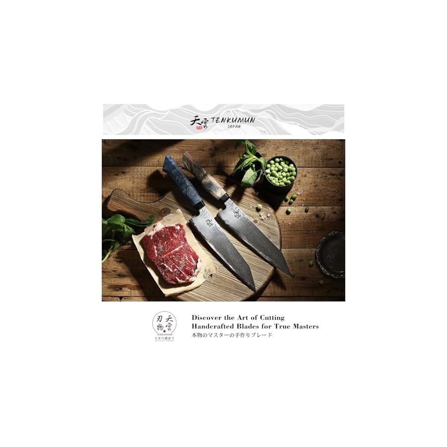 Tenkumun Japanese Gyutou 210mm Profession Santoku Handcrafted 8 inch Chef Knife Handmade Forged Knife Japan SG2 Powder Steel with Black Wood Handle