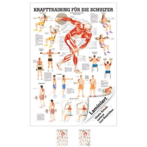 Ruediger Anatomie TA80LAM Krafttraining für die Schulter Tafel, 70 cm x 100 cm, laminiert