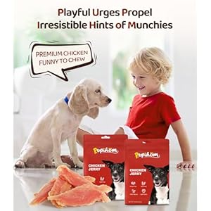   Chicken-Jerky-Dog-Treats-for-Dogs-16-OZ-1LBS-Rawhide-Free-Made-with-Real-Breast-Long-Lasting-Treats-Dog-Training-Reward-Snacks-Dog-Chewy-Treats