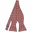 Red and Black Arvon Gingham