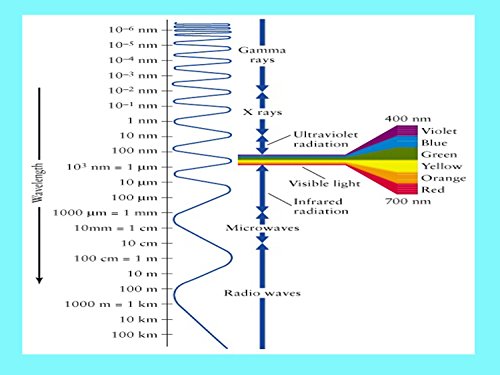 ColorViper Double Injection Sunglasses SPORTS4